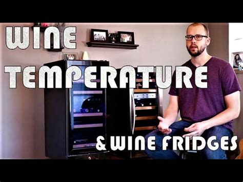 Proper Wine Temperature and How to Select a Wine Fridge - Wine Oceans