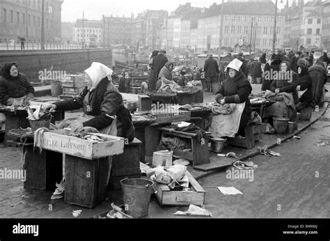 Scene from Copenhagen s fish market Our Picture Shows A women gutting ...