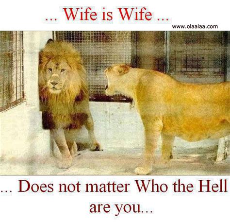 Funny Lion Quotes. QuotesGram