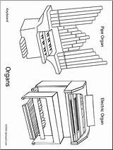 Organ Coloring Pages At GetColoringscom  Free Printable Colorings sketch template
