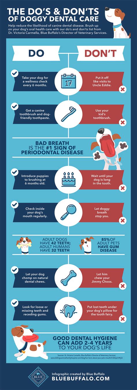 The Do's and Don'ts of Doggy Dental Care | Blue Buffalo