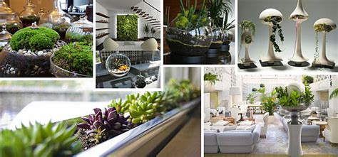 Indoor Gardening Ideas to Beautify Your Space | Decoist