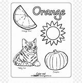 Color Orange Coloring Pages  Home sketch template