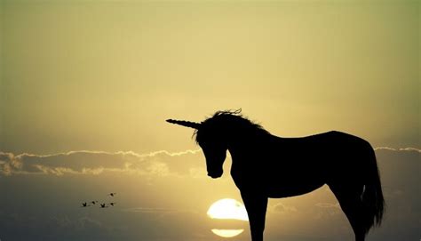 Unicorn Dreams -- Startup Growth In Perspective