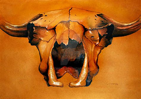 Bison's Skull by 6crows on DeviantArt