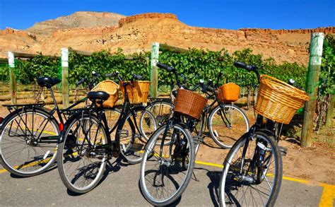 Colorado Wine Country - Fruit & Wine Byway - Visit Palisade in 2021 | Colorado travel, Fruit ...