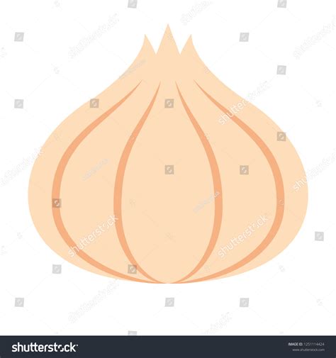 Vector Cartoon Onion Icon Isolated On Stock Vector (Royalty Free ...