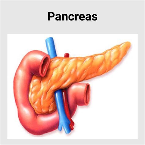 Pancreas Disease - Best Gastroenterology Hospital in India