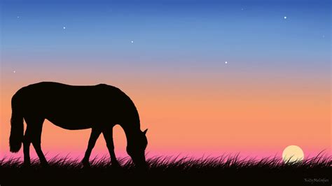 Horse out at Sunset by KittyMelodies on DeviantArt