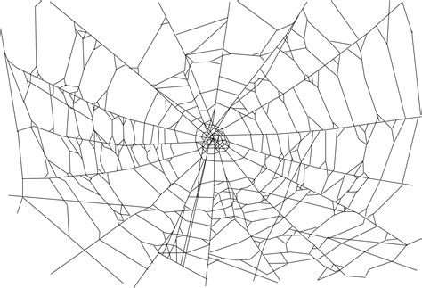 Spider Web File Transparent HQ PNG Download | FreePNGImg