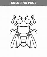 Fly Coloring Page sketch template