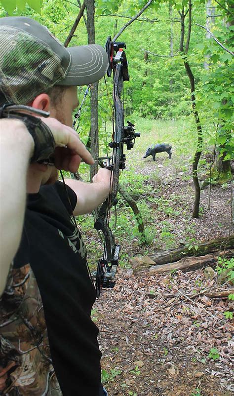 15 Tips for Better Archery and Bowhunting - North American Bow Hunter