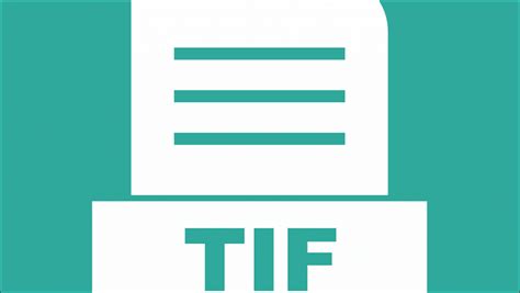 What is a .TIFF File and How to Open it?