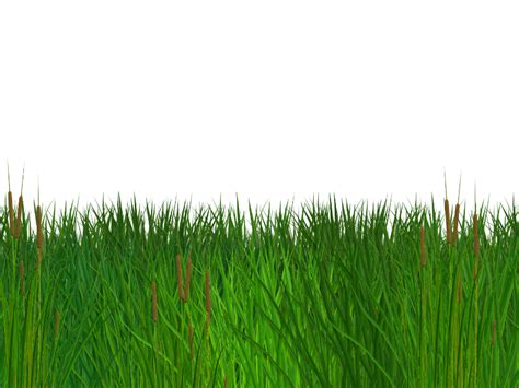 Tileable Cartoon Grass Texture