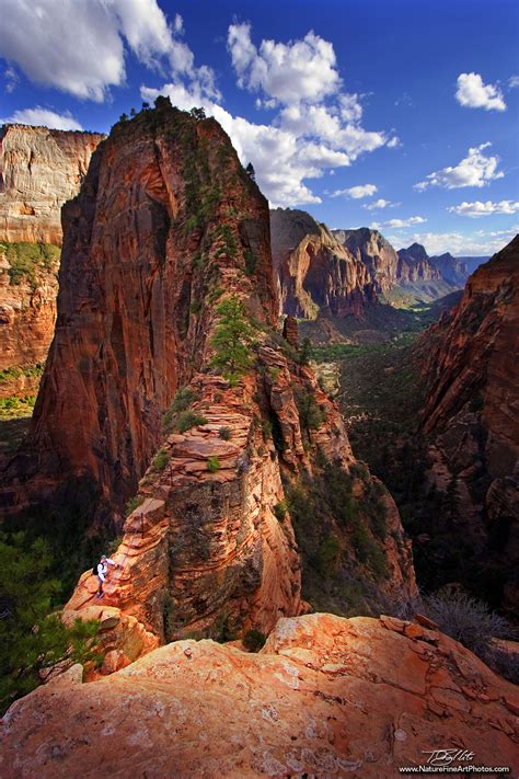 Angel's Landing (Zion National Park) Photo | Nature Photos for Sale