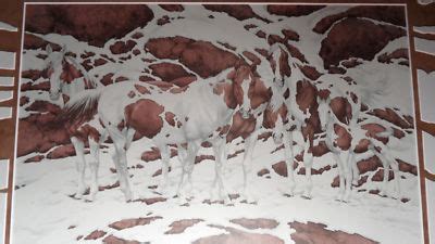 Bev Doolittle "PINTOS" Camoflauge-Horses-Pony-Art-RARE* | #218372558