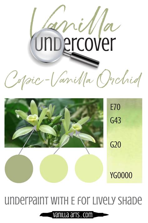 Vanilla Undercover: Underpainting Blending Combinations for Realistic ...