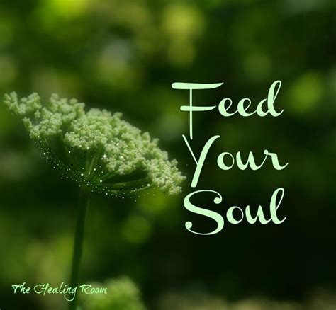 Feed Your Soul Quotes. QuotesGram