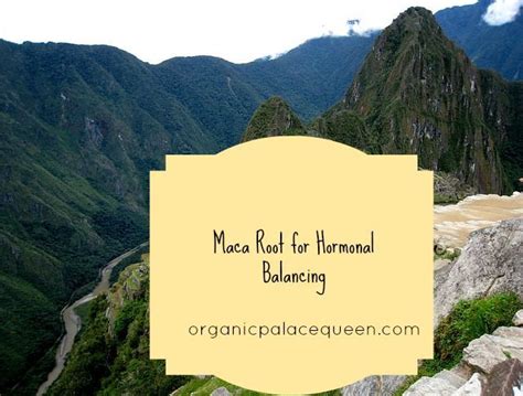 Does Maca Root Balance Hormones? - Organic Palace Queen | Maca root, Hormone balancing, Hormones