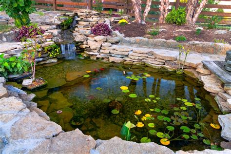 How to Set up a Koi Pond: The Ultimate Guide | Build Your Aquarium