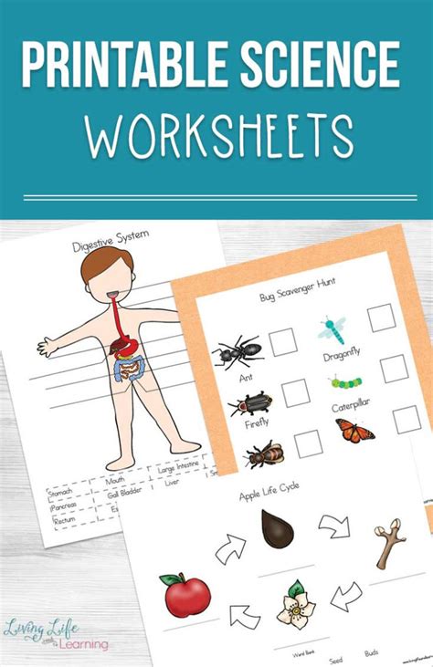 Science Worksheets For Kids — db-excel.com