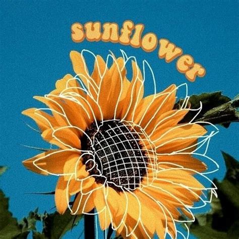 Stream sunflower, vol. 6 - harry styles (slowed n reverb) by Ashlee pacule | Listen online for ...