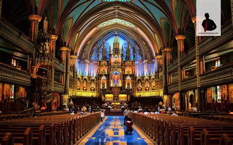 Montreal | Notre dame basilica, Old montreal, Montreal with kids