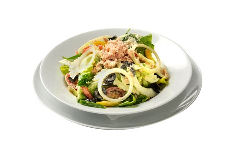 Tuna Salad PNG PNG, SVG Clip art for Web - Download Clip Art, PNG Icon Arts