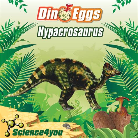 Calaméo - E-book Hypacrosaurus Dino Eggs