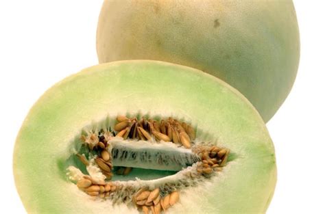 Honeydew | Producepedia