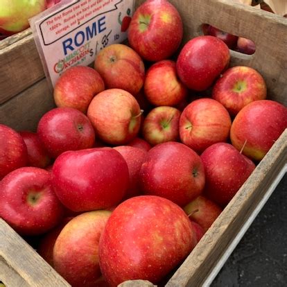 Rome Apples Information, Recipes and Facts