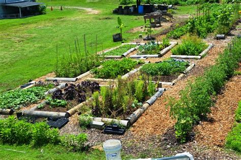 permaculture design examples - Google Search | Permaculture design ...