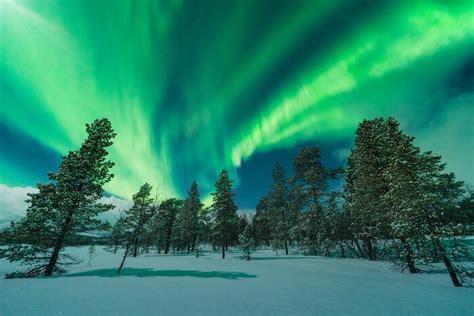 Ultimate Aurora Borealis Adventure in Sweden - 14 Days | kimkim