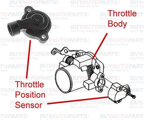 Repair Throttle Position Sensor