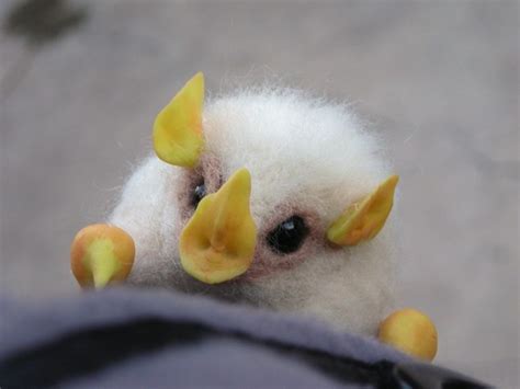 Honduran White Bat Facts, Habitat, Diet, Adaptations, Video