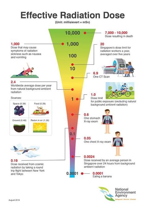 Radiation Poisoning Effects On Human