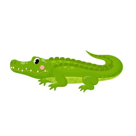 Vector illustration of cute alligator isolated crocodile in cartoon style on white background ...