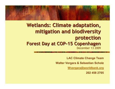 Wetlands: Climate adaptation, mitigation and biodiversity protection | PPT