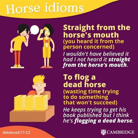 Horse idioms | Modismos, Inspirar