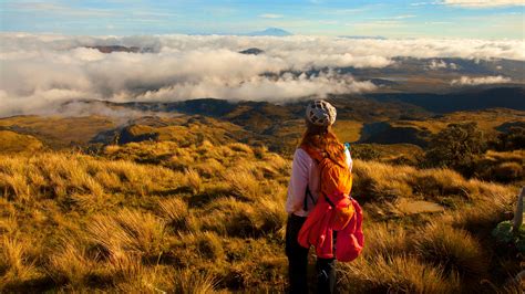 The best 9 national parks in Colombia - Lonely Planet