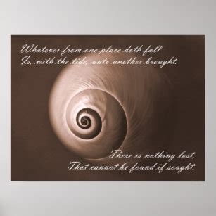 Nautilus Shell Posters & Photo Prints | Zazzle AU