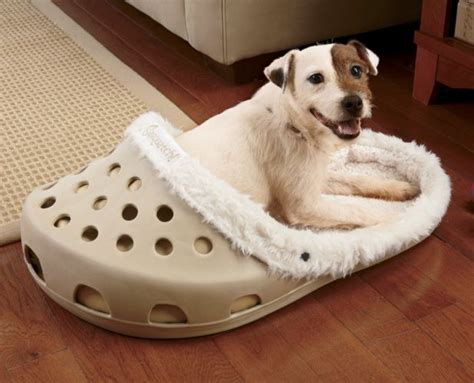 This Gigantic Croc Shoe Is The Perfect Pet Bed & Here's Why