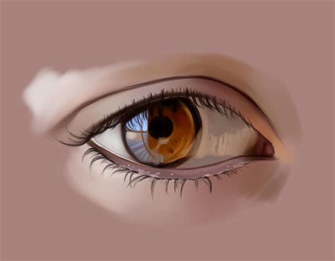 Eye Reflection Study by Leo-25 on DeviantArt