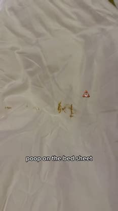 TikToker horrified after finding 'poop' on bedsheets and towel, hotel ...