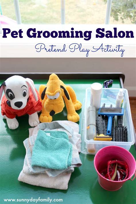 Pet Grooming Salon Pretend Play Activity for Preschoolers | Sunny Day Family