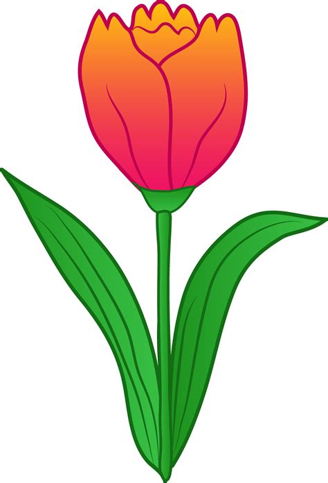 Pretty Pink Tulip Flower - Free Clip Art