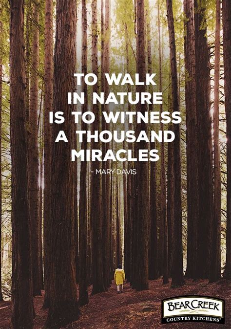 Sometimes all it takes is a stroll through the woods. “To walk in nature is to witness a tho ...