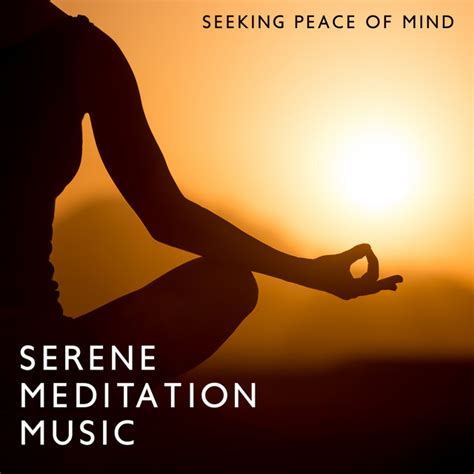 Seeking Peace of Mind: Serene Meditation Music for Stress Relief ...