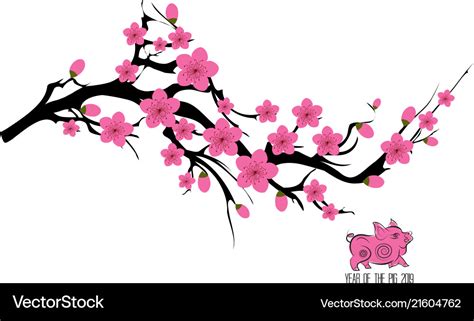 Japan cherry blossom branching tree japanese Vector Image