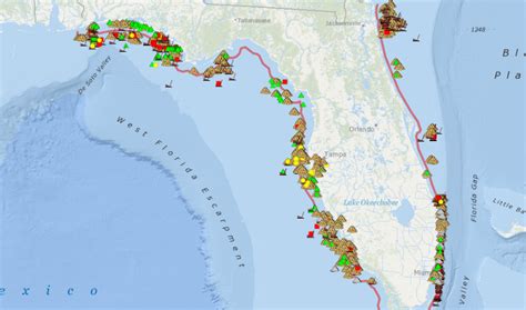 Bringing the Future of Florida’s Artificial Reefs into Focus - UF/IFAS ...